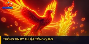 Thông tin kỹ thuật tổng quan